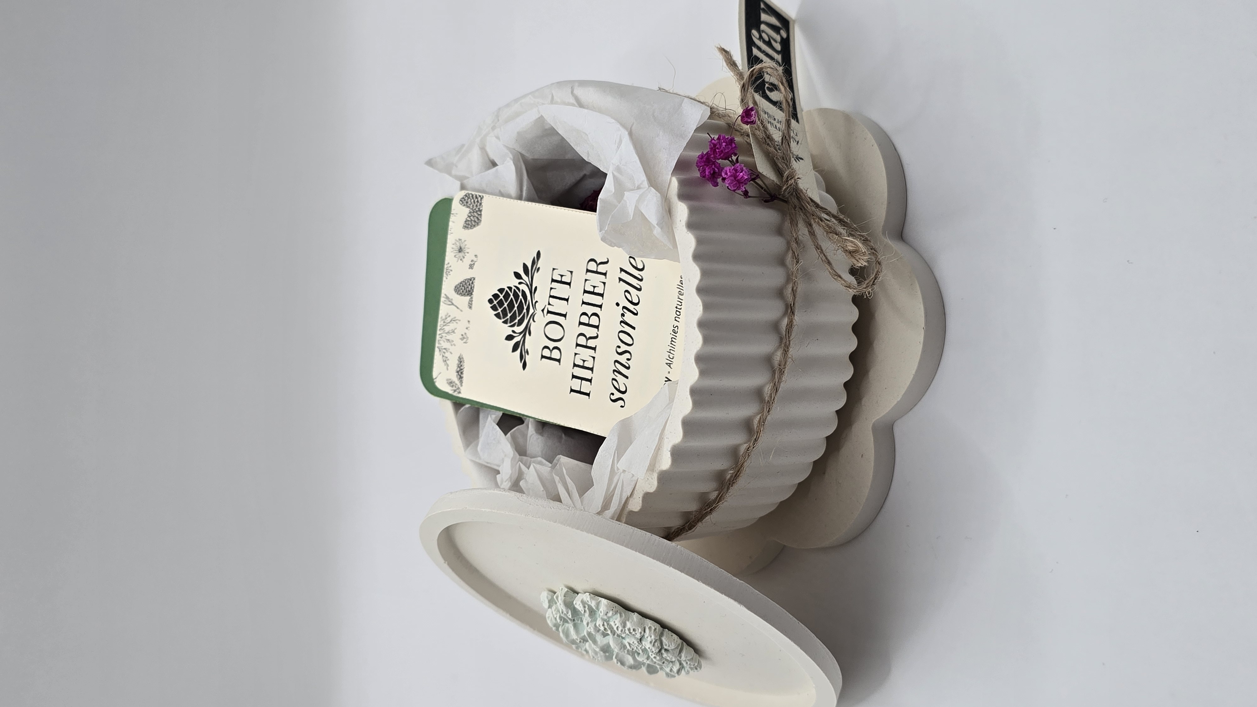 Boîte herbier sensorielle – détail
