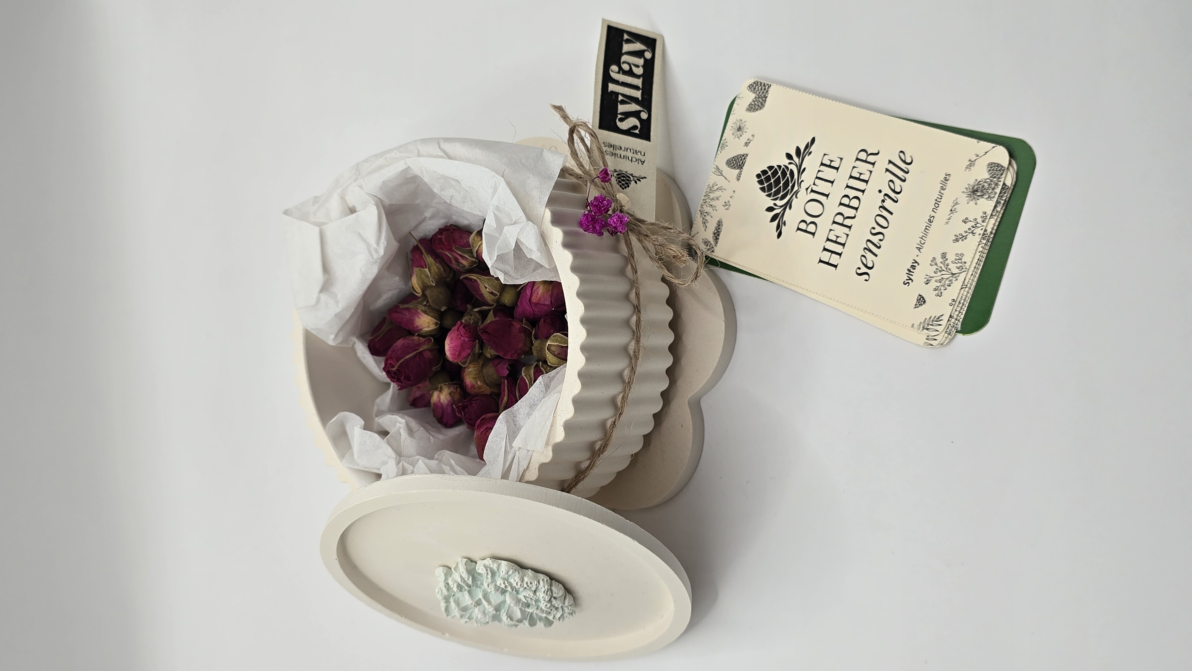 Boîte herbier sensorielle – ouverture