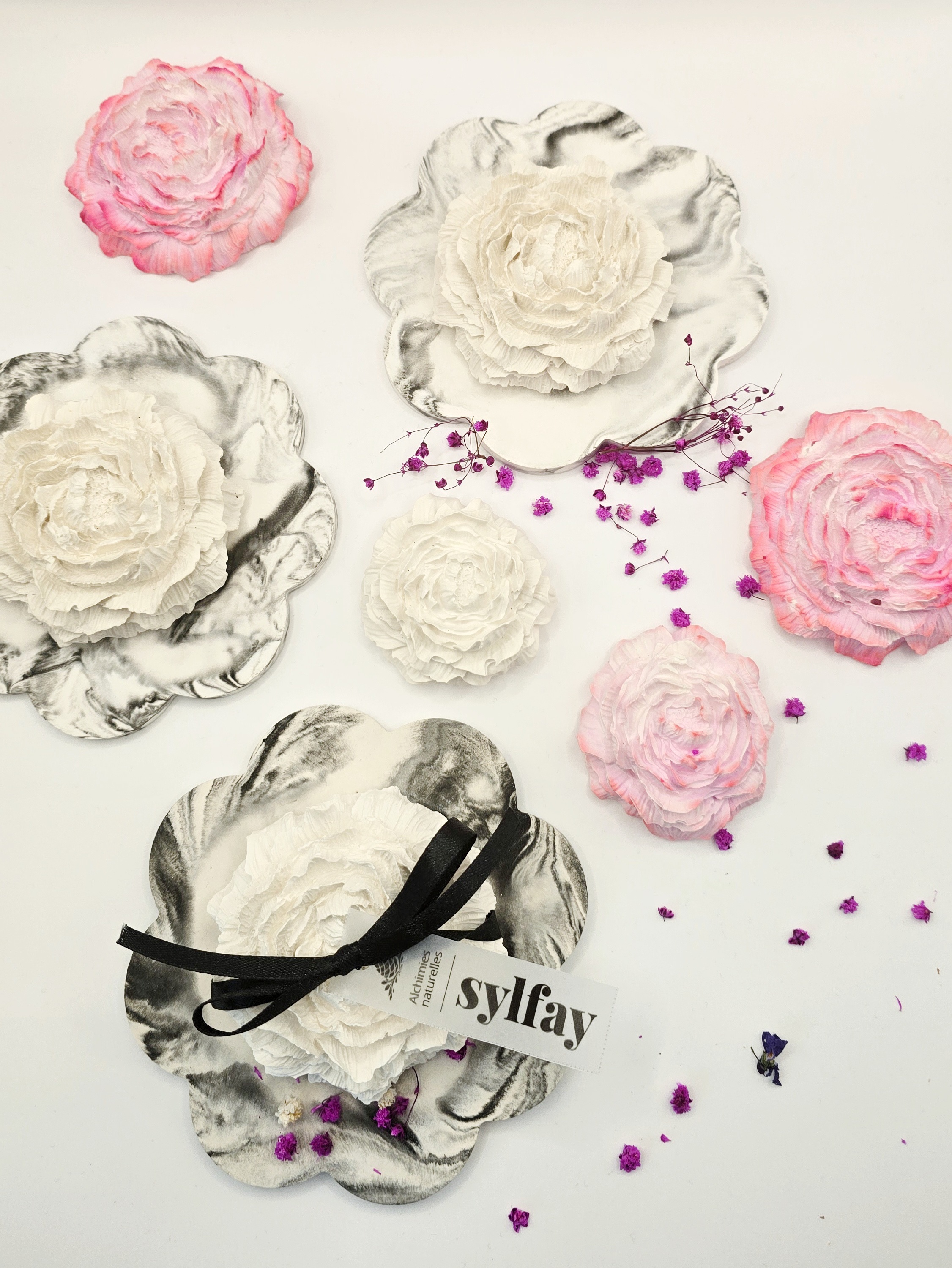 Rose – vue 8