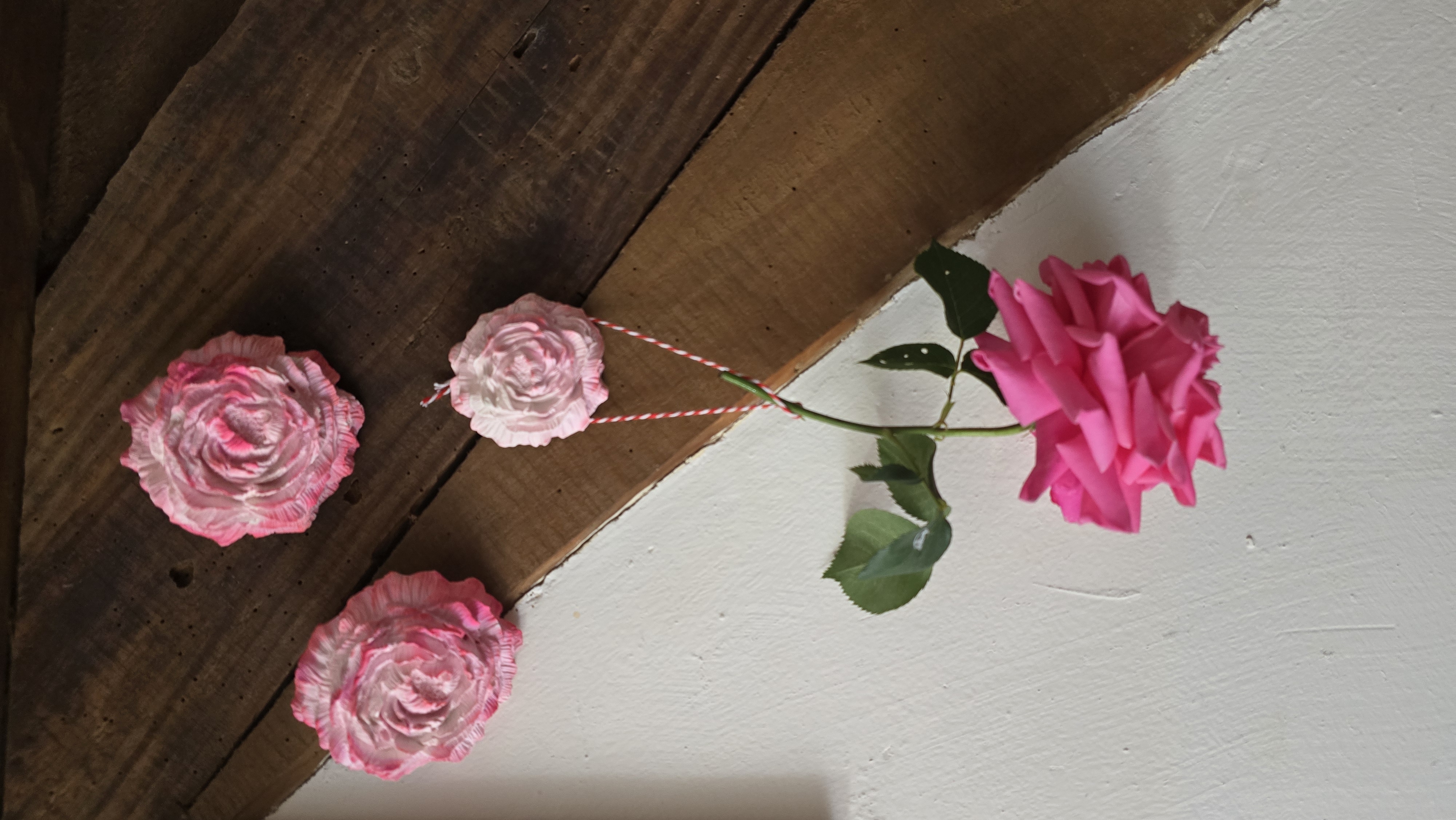 Rose – vue 9