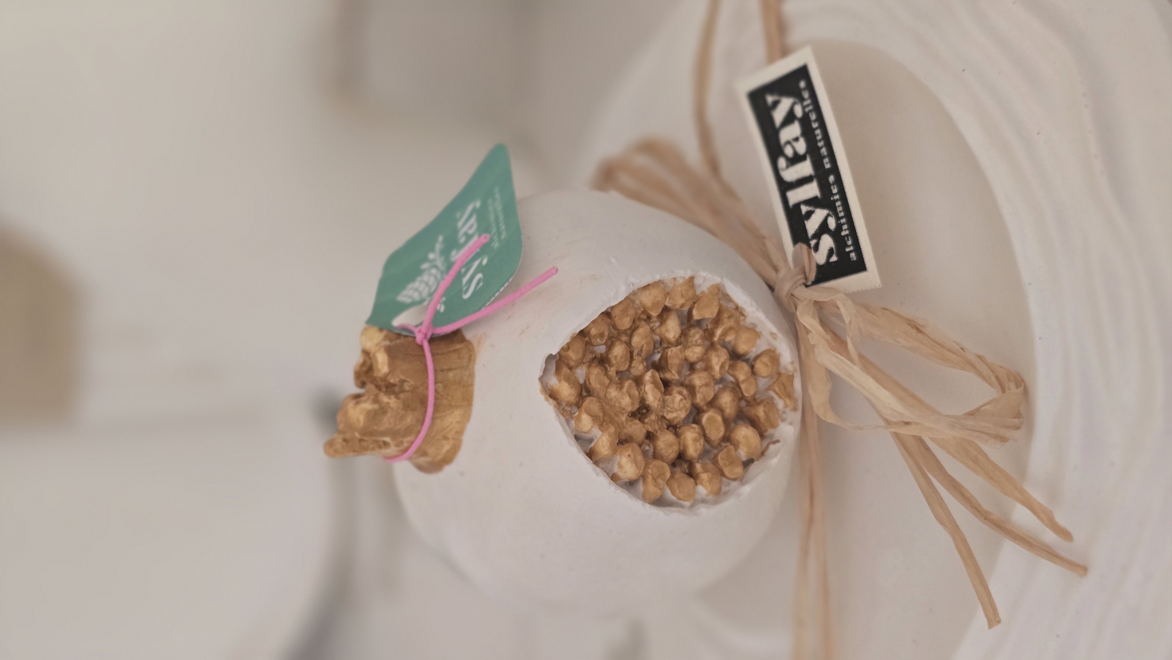 Grenade – vue 1