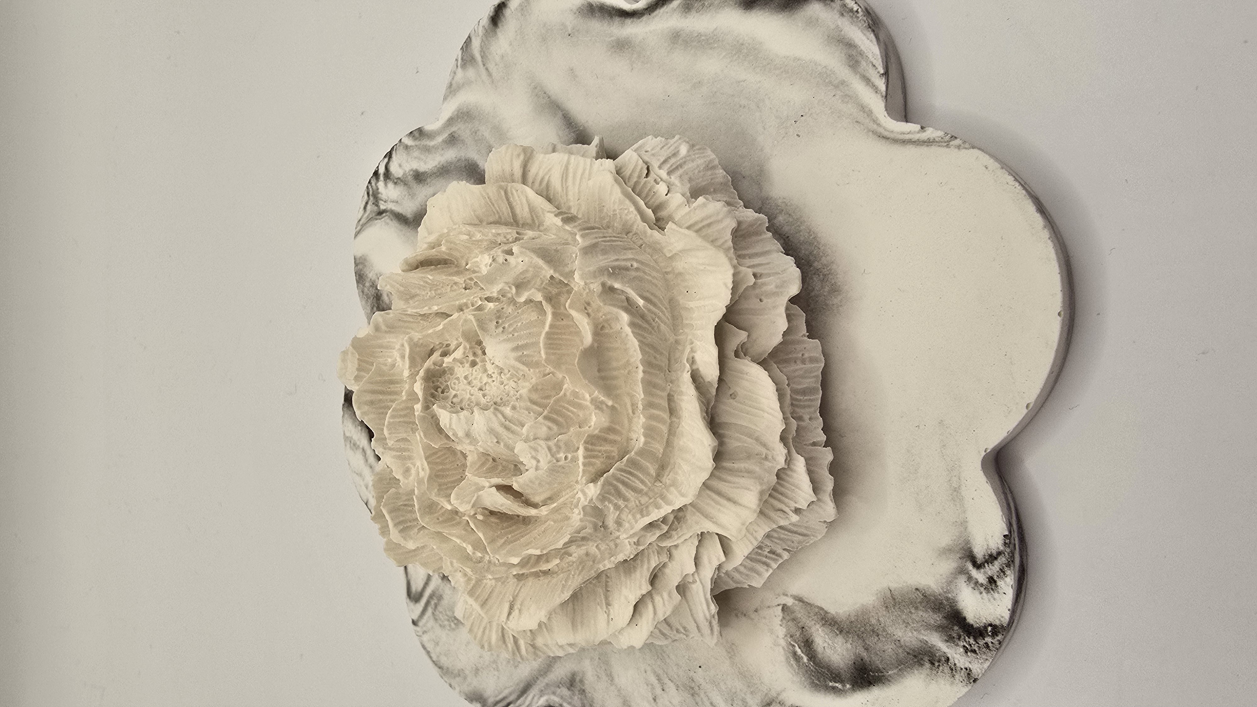 Rose – détail