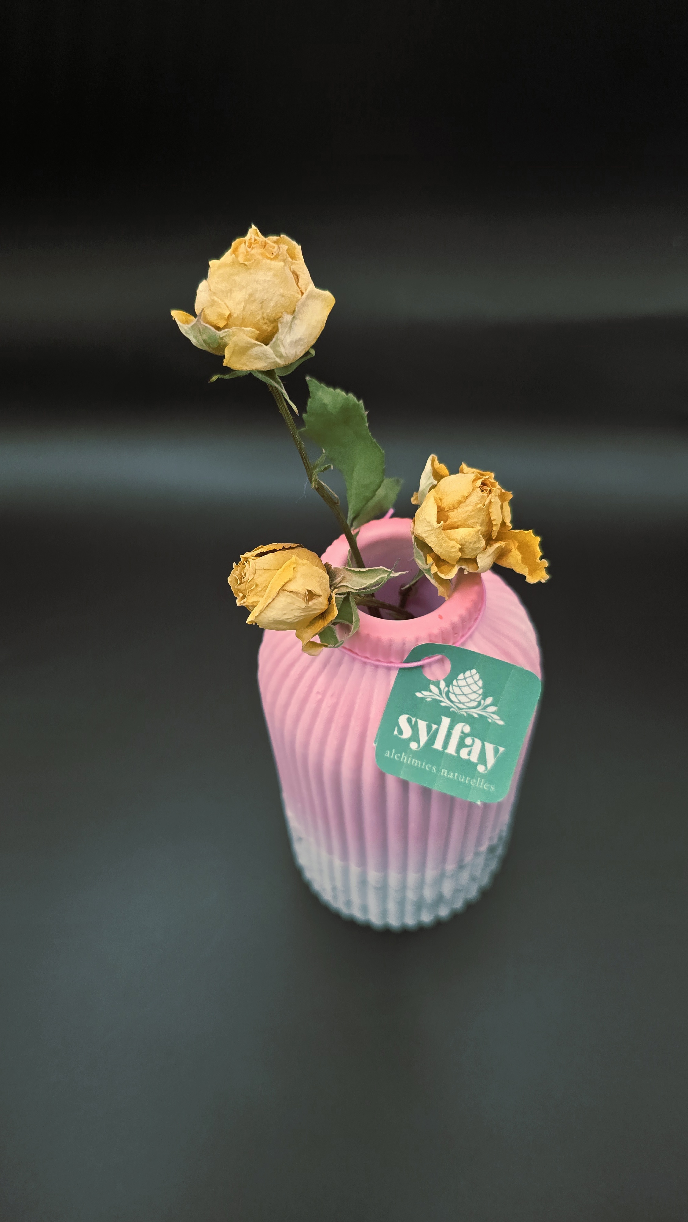 Vase côtelé – vue de dessus